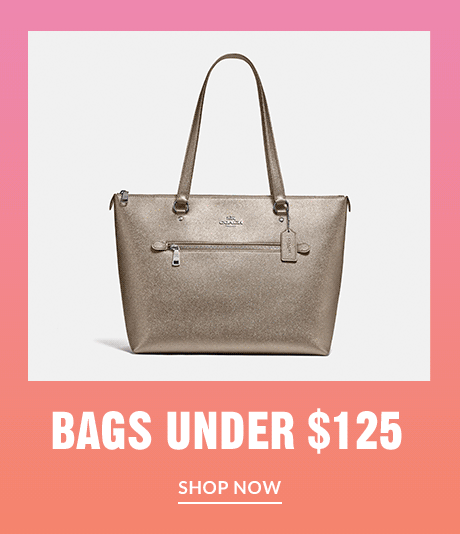 BAGS UNDER $125 | SHOP NOW