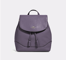 Coach Backpack