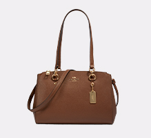 Coach Bag 5