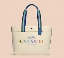 COACH PRODUCT