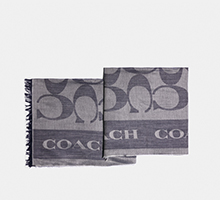 COACH SCARF