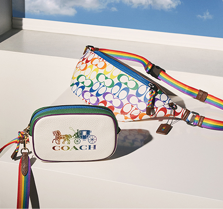Coach Rainbow Bags