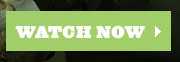 Download the image to watch the DEW all-stars in action.