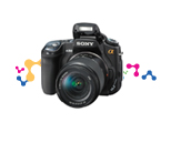 Shop now for the α (alpha) DSLR camera
