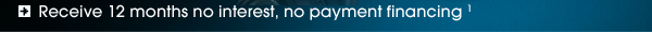 Receive 12 months no interest, no payment financing