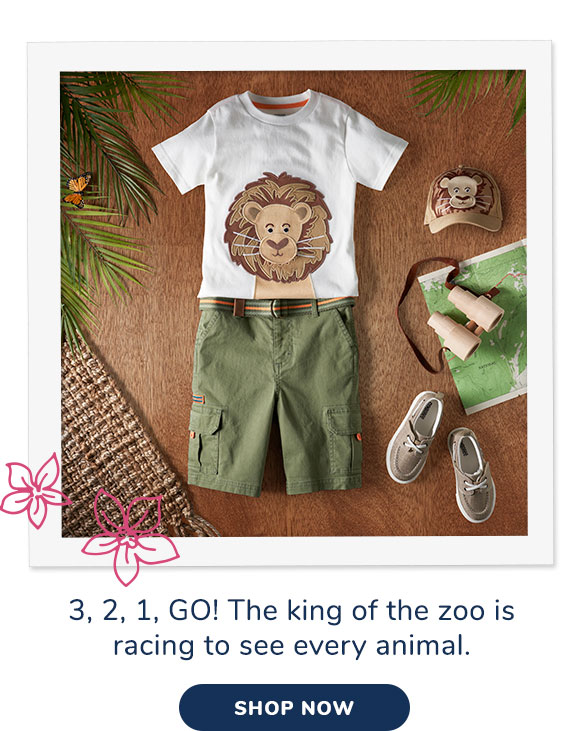 Summer Safari Collection