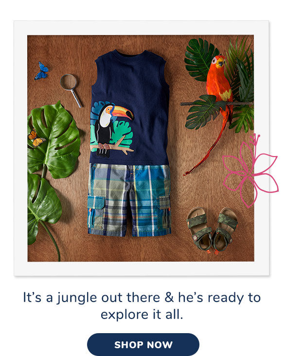 Summer Safari Collection