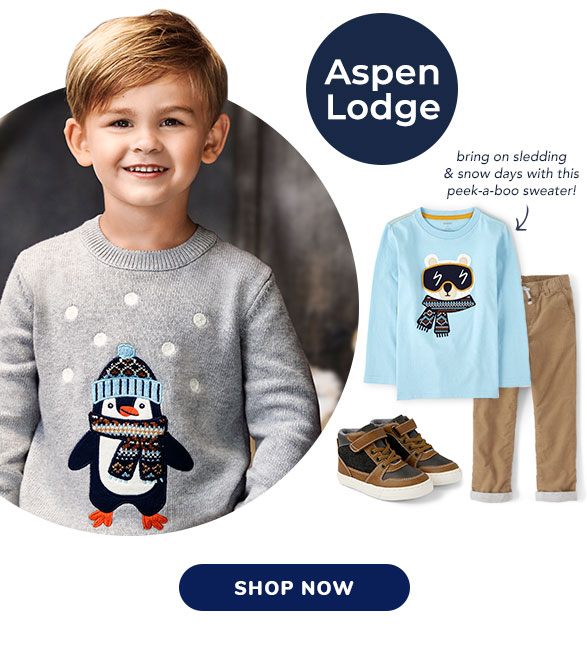 Shop Aspen Lodge