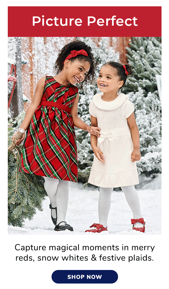 Shop Picture Perfect