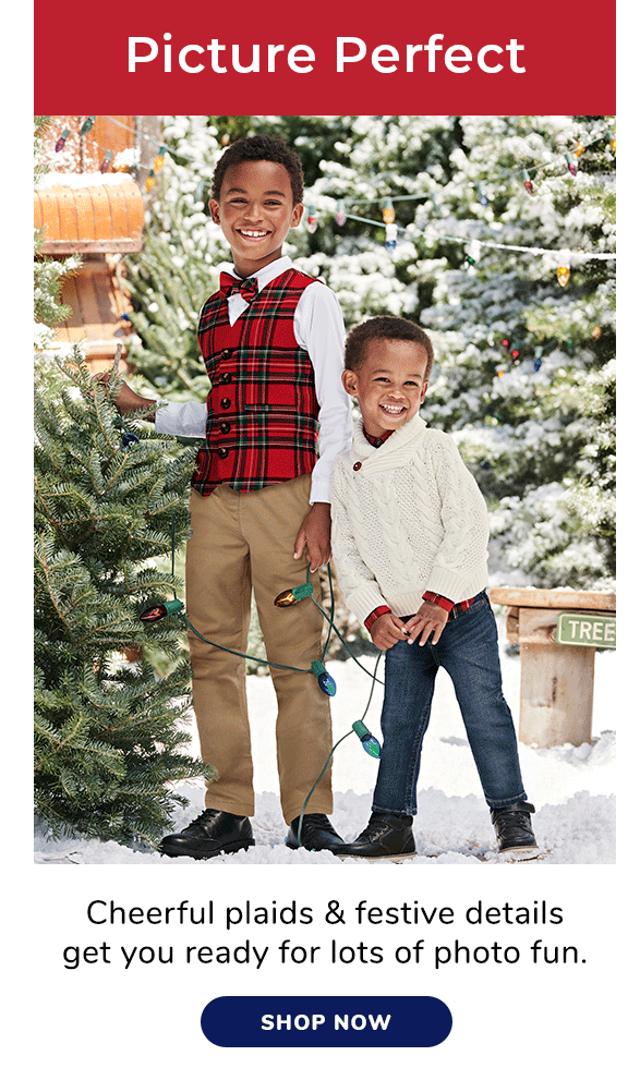 Shop Picture Perfect