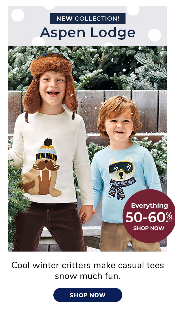 Shop Aspen Lodge