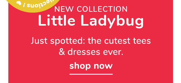 Shop Little Ladybug