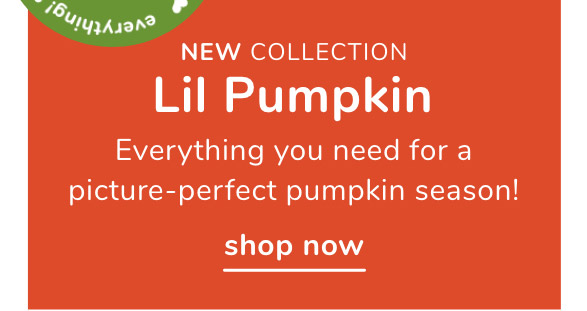 Shop Lil Pumpkin