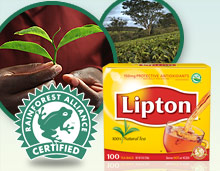 LIPTON® Tea and the Rainforest Alliance